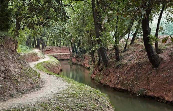 Sendero junto al canal rodeado de árboles y tierra rojiza