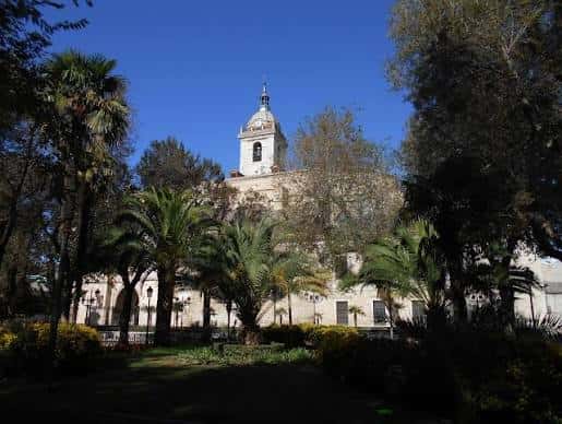 Vista de la fachada de la iglesia de San Francisco con palmeras en primer plano