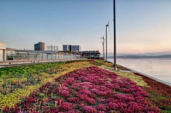 Jardín de flores coloridas junto al paseo marítimo de Halifax