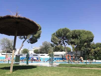 Área de la piscina con sombrillas y árboles al fondo