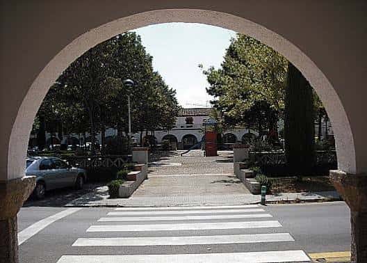 Plaza con árboles y zona peatonal, perfecta para celebraciones familiares