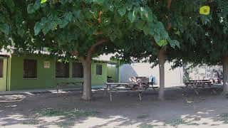 Área sombreada con mesas de picnic bajo árboles frondosos, ideal para eventos al aire libre
