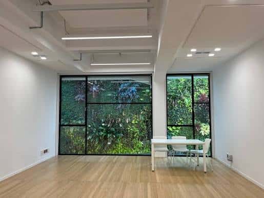 Sala blanca luminosa con suelo de madera y vistas a la vegetación