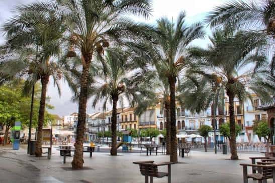 Plaza del Altozano con palmeras y bancos, mostrando el ambiente abierto y acogedor del lugar