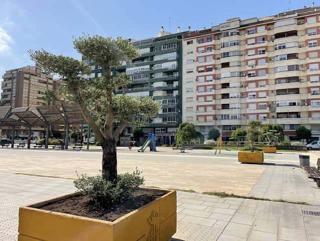 Plaza de la Generalitat en Alzira con olivos ornamentales y edificios de fondo