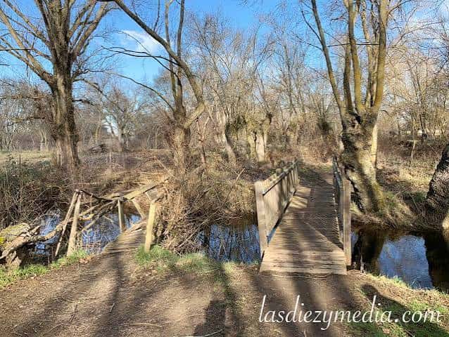Puente de madera sobre el río en el Parque natural El Soto