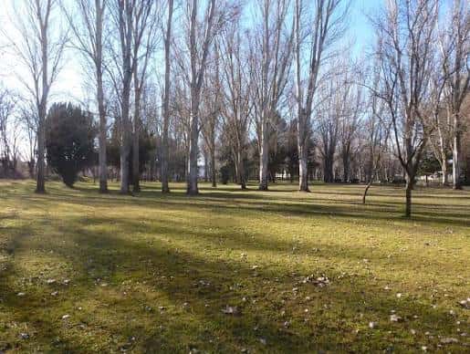 Amplia zona de césped con árboles altos, ideal para eventos al aire libre