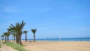 Vista panorámica de la playa con palmeras y el mar al fondo