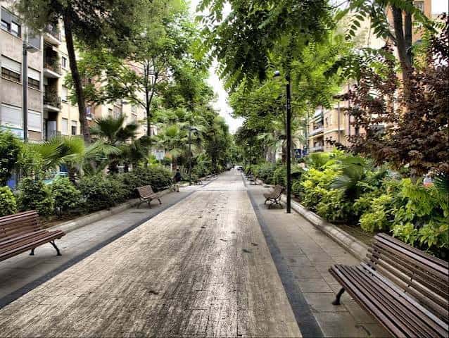 Paseo arbolado con bancos y vegetación en la Avenida al Vedat