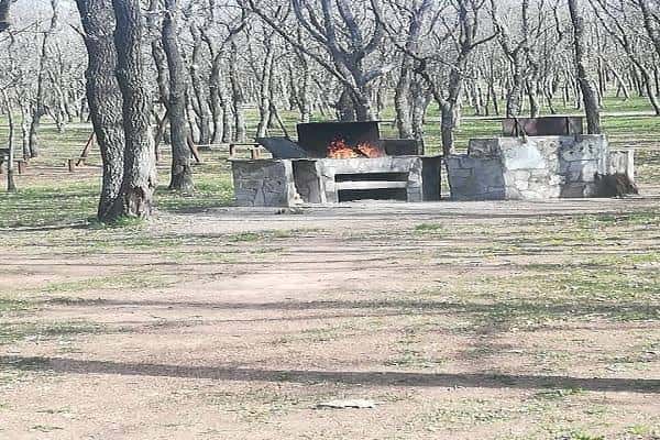 Parrillas de piedra en un área arbolada, ideal para barbacoas