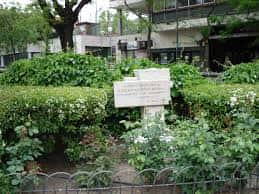 Detalle de la vegetación y placa conmemorativa en el jardín
