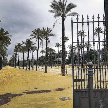 Vista del paseo principal del parque con palmeras y portón de entrada