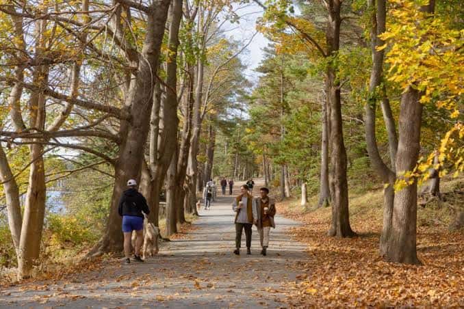 Paseo forestal con hojas de otoño y personas caminando