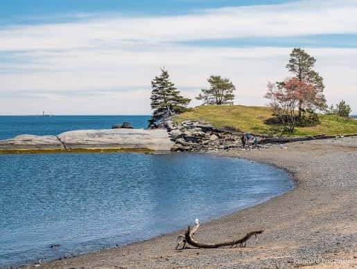 Playa rocosa con árboles y vista al mar en Point Pleasant Park