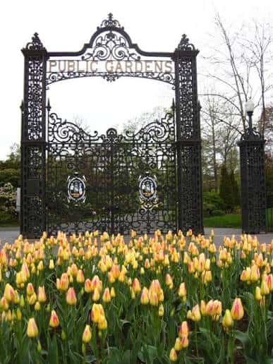 Puerta de entrada principal con el letrero 'Public Gardens' y tulipanes en flor