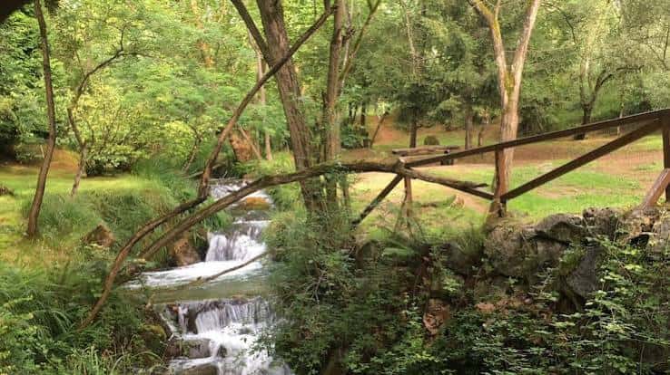Pequeña cascada y sendero natural en el bosque del parque