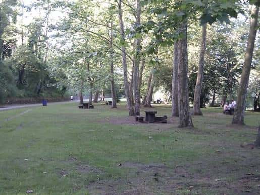 Zona de picnic con mesas de madera entre árboles en el parque