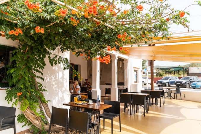 Terraza del Can Tixedó Art Café con flores y ambiente acogedor