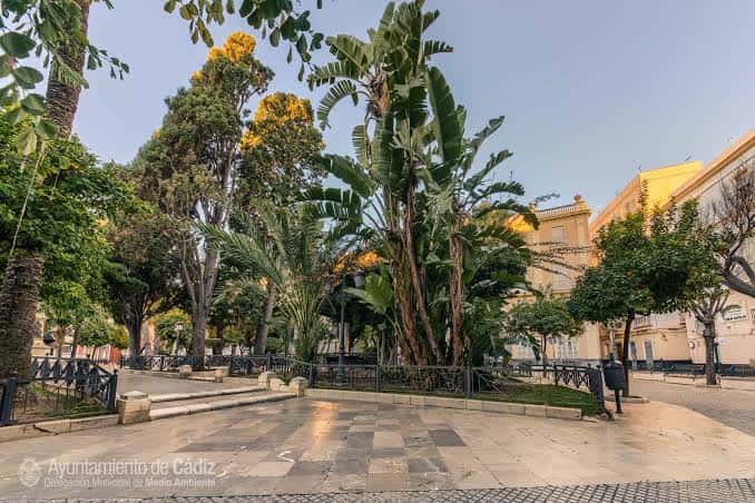 Área verde de la plaza con árboles frondosos y senderos peatonales