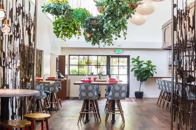 Interior elegante del restaurante con decoración de plantas colgantes y mesas preparadas para cena