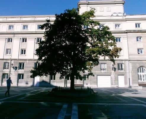 Vista frontal de la fachada del Teatro Campoamor con el árbol emblemático en primer plano