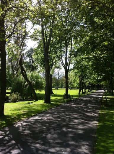 Sendero arbolado en el Parque de Ferrera con bancos y zonas verdes