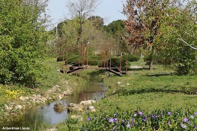 Paisaje natural del jardín con un pequeño puente sobre un arroyo y vegetación verde