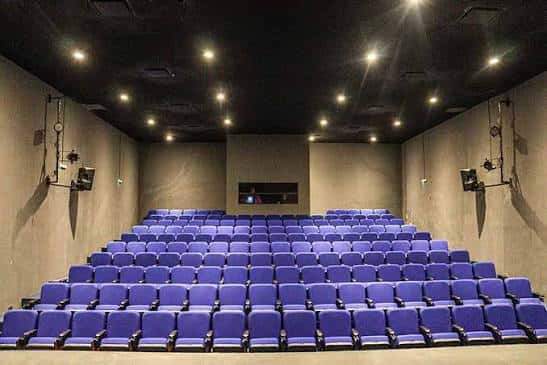 Interior del auditorio del Teatro Nina Shestakova con butacas azules y escenario