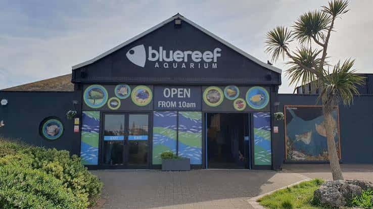 Fachada exterior del Blue Reef Aquarium con señalización y entrada principal