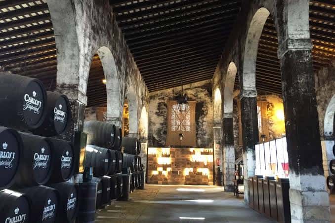 Interior de las bodegas con barricas de vino y arquitectura de arcos históricos