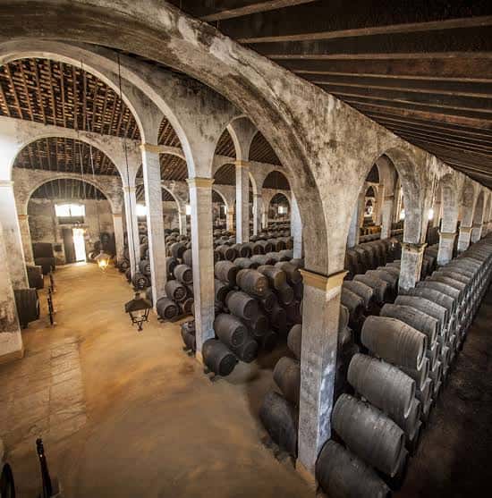 Interior de la bodega con bóvedas de piedra y filas de barricas de vino