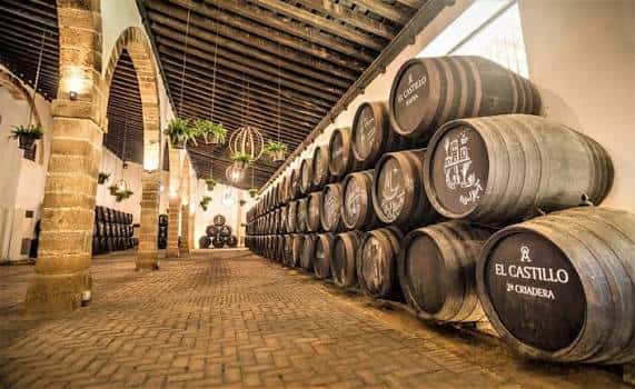 Pasillo de barricas en la bodega con iluminación cálida y decoración colgante