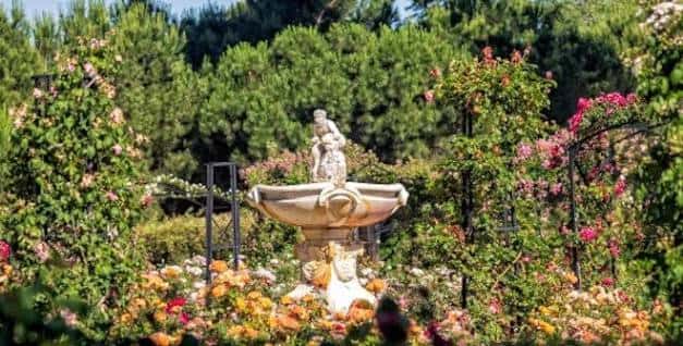 Jardín floral con fuente clásica y escultura central en el parque