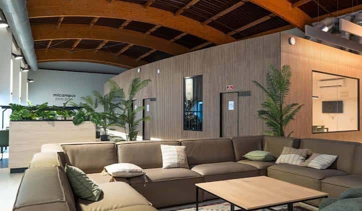 Zona de descanso con sofás, plantas y techo de madera en el interior de la residencia