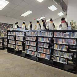 Interior de la biblioteca con estanterías de DVDs y adorno de pingüinos en la parte superior