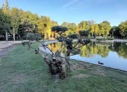 Vista panorámica del lago con árboles y césped en Parque El Juncal