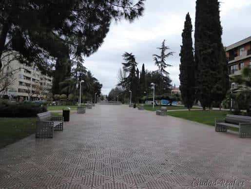 Paseo principal pavimentado con diseño geométrico y árboles altos