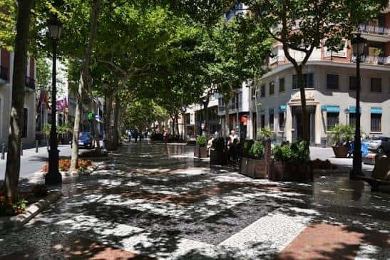 Vista del paseo en verano con sombra de árboles y ambiente tranquilo