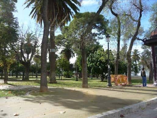 Paseo arbolado con palmeras y farolas en el parque