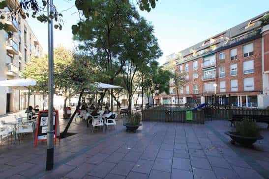 Zona de terrazas con mesas y sombrillas bajo árboles en la plaza