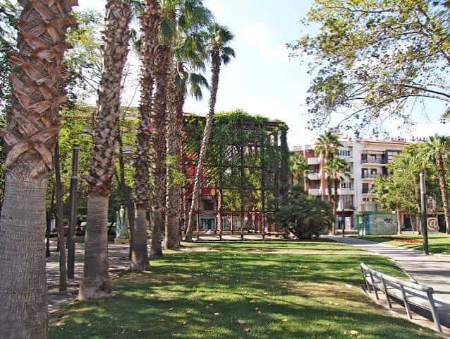 Vista del parque de la Plaça de l'Estació con palmeras y césped