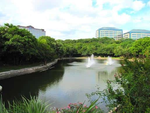 Vista panorámica del lago con fuentes y vegetación en el Arboretum