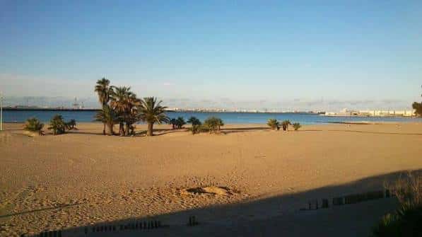 Playa vacía con palmeras al atardecer y vista del puerto en el fondo