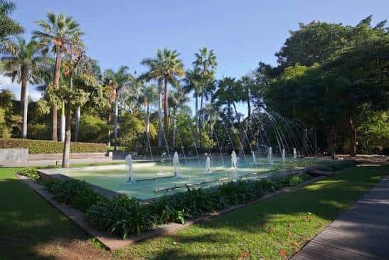 Vista del parque con palmeras y fuentes decorativas