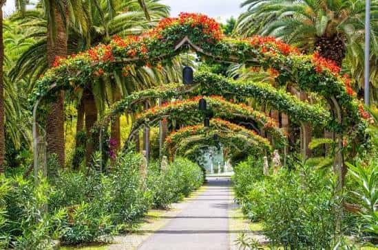 Pasillo cubierto por arcos florales en el jardín