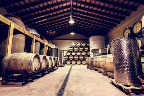 Interior de la bodega con barricas de roble y tanques metálicos bajo techo de vigas