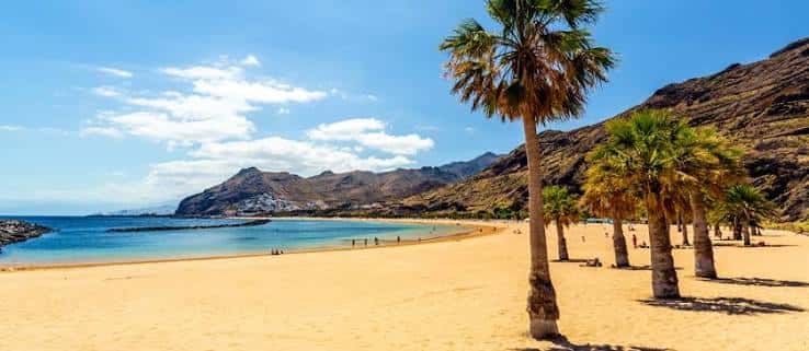 Paisaje costero de la playa con palmeras en primer plano y montañas al fondo bajo un cielo despejado