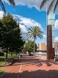 Paseo peatonal junto al río con árboles y bancos bajo un cielo azul