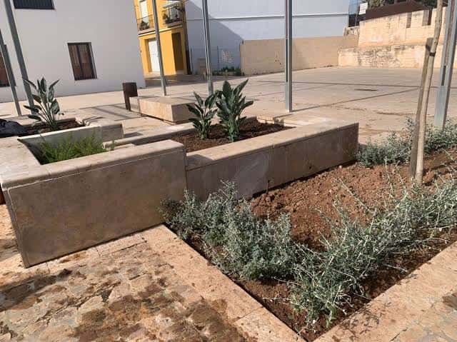 Detalle de los nuevos espacios verdes y bancos de piedra en la plaza