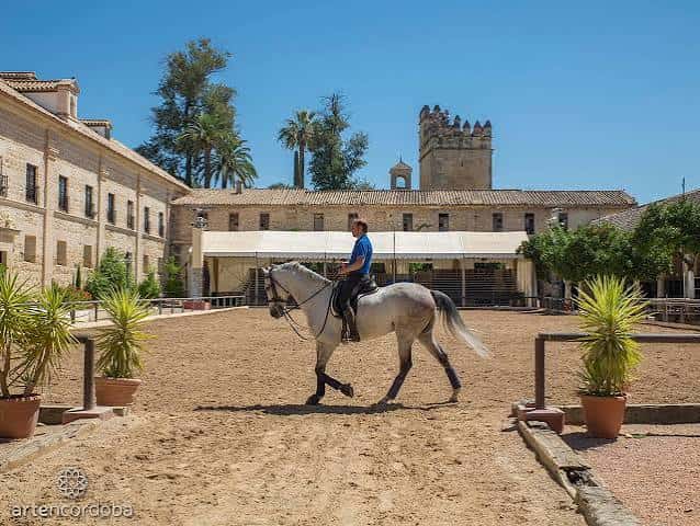 Jinete a caballo en el patio principal durante una exhibición